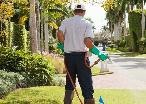 About Leeds ME Pest Control Pros